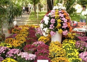 ITM Brăila a controlat firmele care cultivă și comercializează plante și flori
