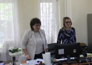 Candidații pentru funcția de președinte al Consiliului Județean Brăila și consilier județean în Consiliul Județean Brăila