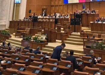 Prima candidatură anunțată pentru alegerile parlamentare