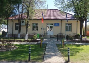 PSD a câștigat 24 de primării, iar PNL a obținut victoria în 20 de UAT-uri