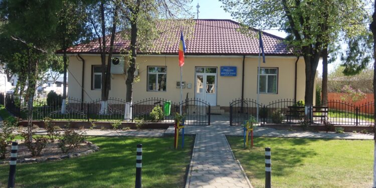 PSD a câștigat 24 de primării, iar PNL a obținut victoria în 20 de UAT-uri