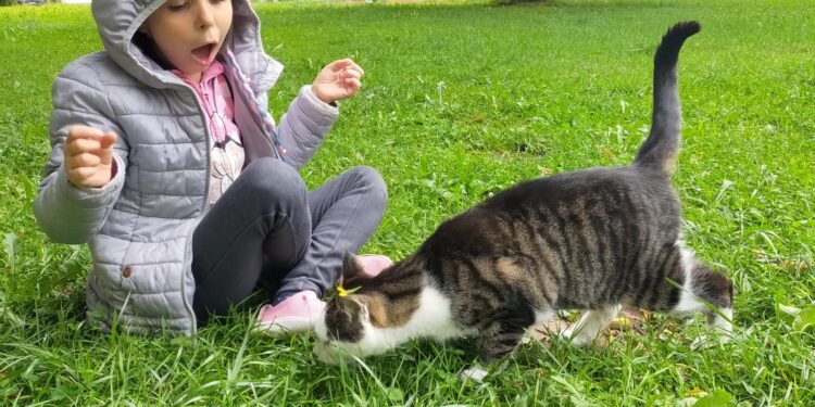 Solidaritatea poate schimba destine. Transplantul de celule stem, singura șansă a Anastasiei