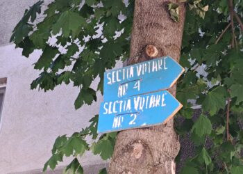 Rezultate finale alegeri locale 2024 în județul Brăila