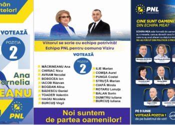 Comuna Viziru are nevoie de un primar cum este Ana Cornelia Măcrineanu