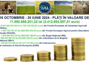 Plăți de peste 11,9 miliarde lei (2,4 miliarde euro) pentru Campania 2023