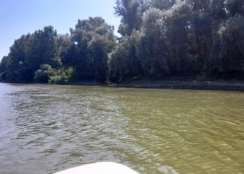 Parcul Natural Balta Mică a Brăilei – o oază de frumusețe care trebuie vizitată