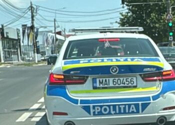 Polițiștii brăileni au constatat 114 de fapte care au perturbat ordinea și liniștea publică