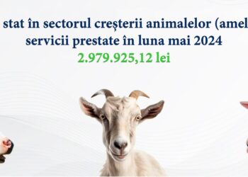 Sprijin financiar în valoare de 2,97 milioane lei pentru crescătorii de animale