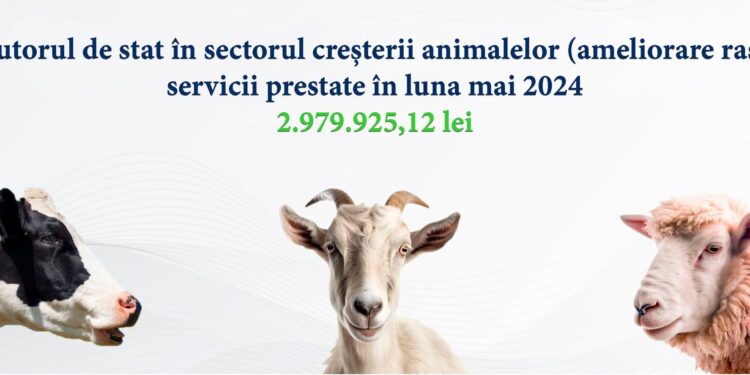 Sprijin financiar în valoare de 2,97 milioane lei pentru crescătorii de animale