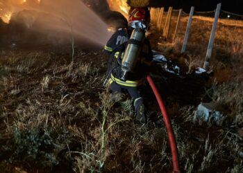 Video: A dat foc la resturi vegetale și incendiul s-a extins la locuință