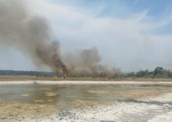 Jandarmii brăileni solicitați să îndepărteze persoanele aflate în zona cuprinsă de incendiu în apropierea Pădurii Stejaru