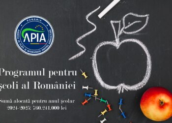 A fost aprobat bugetul pentru noul an școlar 2024-2025 privind Programul pentru școli al României