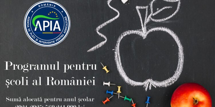 A fost aprobat bugetul pentru noul an școlar 2024-2025 privind Programul pentru școli al României