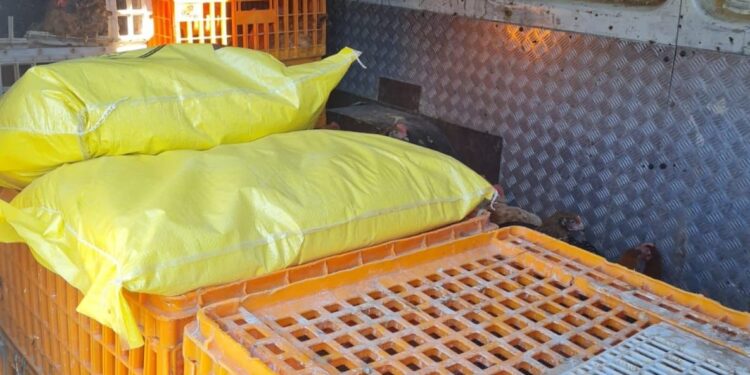 Amendat de polițiștii din cadrul Biroului pentru protectia animalelor deoarece transporta 200 de păsări fără autorizație
