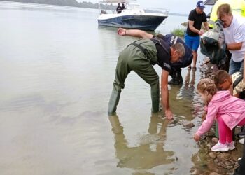 Video: Populare a fluviului Dunărea cu puiet de sturioni