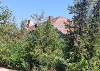 Proprietarii blocurilor construite pe terenul fostei unități militare de la Ianca reclamă că nimeni nu se îngrijește de terenul din zona blocurilor. Primăria Ianca nu poate face nicio investiție acolo, nefiind proprietar sau administrator