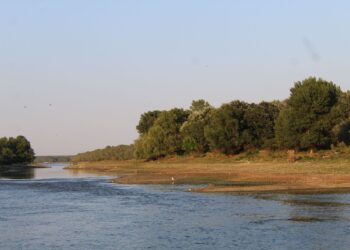 Sectoare de pe Dunăre, inclusiv în zona județului Brăila, se află în faza de atenționare-avertizare