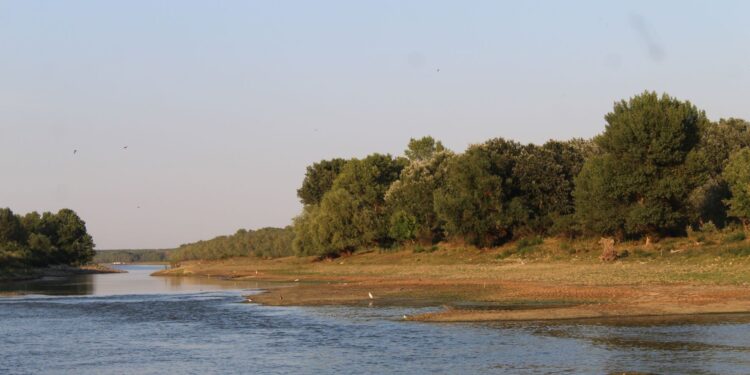 Sectoare de pe Dunăre, inclusiv în zona județului Brăila, se află în faza de atenționare-avertizare