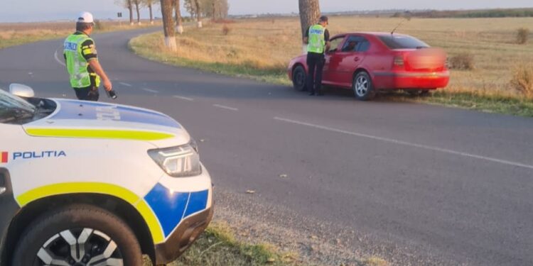 Șoferi băuți sau sub influența substanțelor psihiactive depistați în trafic de polițiștii brăileni