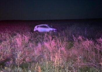 Accident mortal pe DJ203I, în localitatea Pogoanele, din județul Buzău. Un șofer din comuna Ciocile, județul Brăila, s-a răsturnat cu mașina