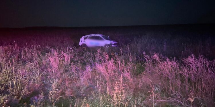 Accident mortal pe DJ203I, în localitatea Pogoanele, din județul Buzău. Un șofer din comuna Ciocile, județul Brăila, s-a răsturnat cu mașina