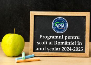 A fost aprobat bugetul pentru implementarea Programului pentru școli al României în anul școlar 2024-2025