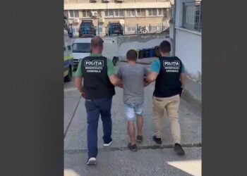 Reținut de polițiști și apoi arestat preventiv pentru comiterea a 7 infracțiuni de furt