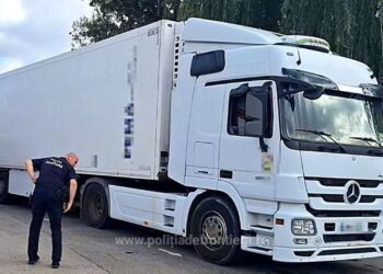 Ansamblu rutier asigurat în fals, descoperit cu ajutorul aplicației eDAC de polițiștii de frontieră din Brăila