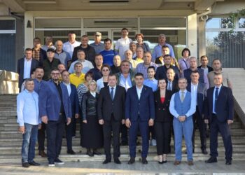 Doi candidați impuși de la București pe listele AUR Brăila pentru alegerile parlamentare