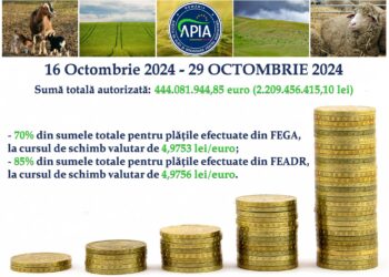 Stadiul Campaniei de plăți în avans aferentă anului 2024