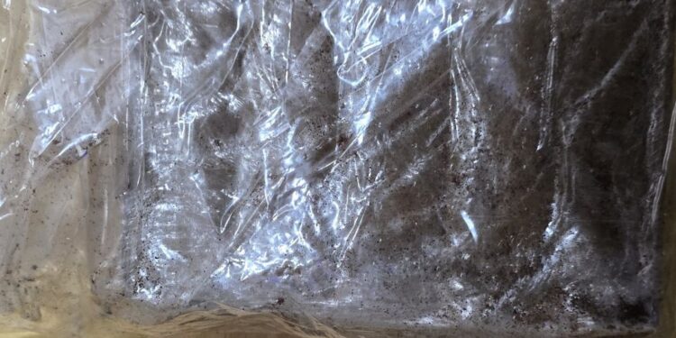 Prins în momentul în care ridica de la firma de transport un colet cu droguri