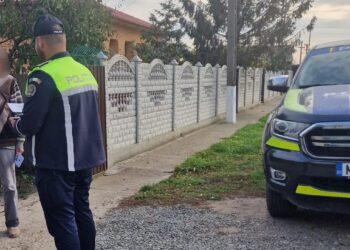 Acțiune de informare a deținătorilor de animale de companie, desfășurată în comuna Bordei Verde
