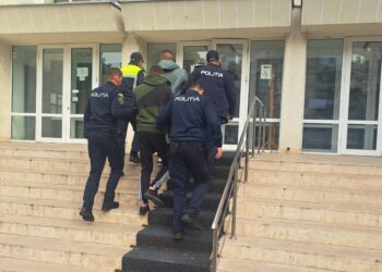 Doi bărbați din Berteștii de Jos arestați preventiv pentru distrugere prin incendiere