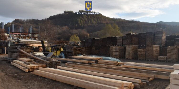 a vândut material lemnos în baza unor avize de însoțire emise, în mod fictiv