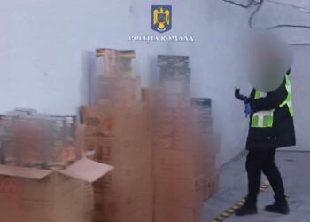 Aproximativ 6 tone de articole pirotehnice, descoperite și indisponibilizate de polițiști în urma unor percheziții în municipiul București și județele Ilfov și Brăila