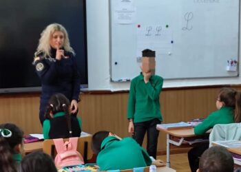 Școala Siguranței Tedi