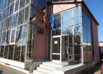 Persoane cu dizabilități