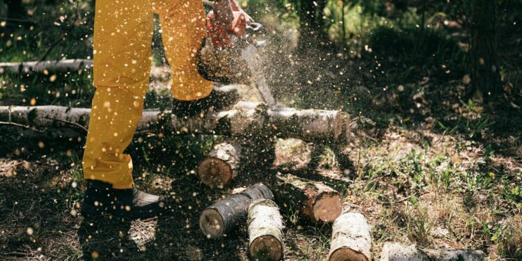 Partenerul tău de încredere pentru piese de motocoasă și piese de drujbă