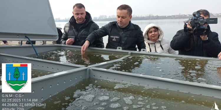 Repopulare cu sturioni