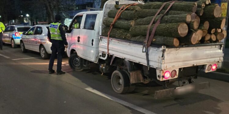 Material lemnos fără documente legale confiscat