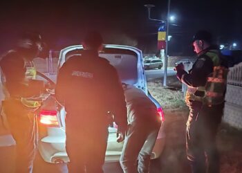 Razii desfășurate în weekend de polițiștii brăileni