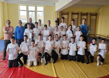 Direcția Județeană pentru Sport și Tineret Brăila,