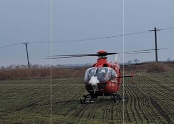 Accident Salcia Tudor