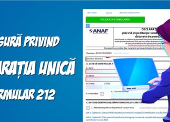 Broșura privind Declarația unică 2025