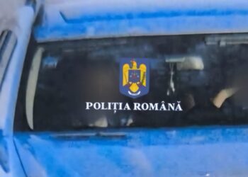 Dosare penale pentru fals în declarații deschise în cazuri semnalate de sistemul E-SIGUR