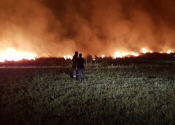 ISU Dunărea Brăila,