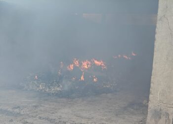 Amendat de Garda de Mediu pentru că incendia deșeuri de origine animală, degajând în atmosferă fum și mirosuri specifice arderii de deșeuri organice
