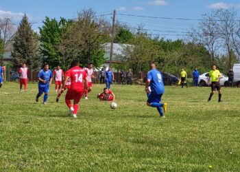 Rezultate înregistrate în etapa a 19-a din Liga a 5-a