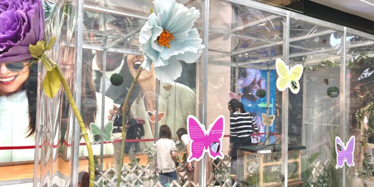 Expoziție de fluturi tropicali la Brăila Mall