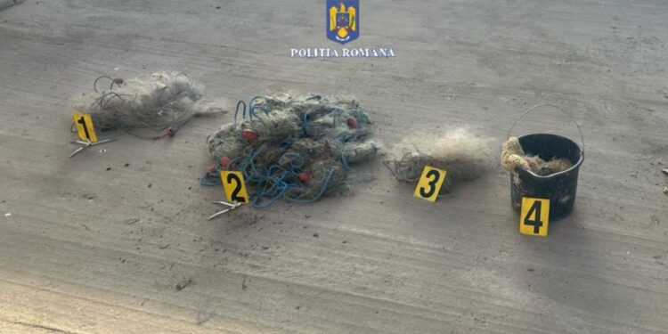 Percheziții, joi dimineață, pentru combaterea faptelor ilegale în domeniul piscicolPercheziții, joi dimineață, pentru combaterea faptelor ilegale în domeniul piscicol